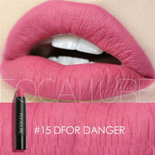 Load image into Gallery viewer, FOCALLURE 19 Colors Matte Lipsticks Waterproof Matte Lipstick Lip Sticks Cosmetic Easy to Wear Matte Batom Makeup Lipstick - EssentialBoutiques 
